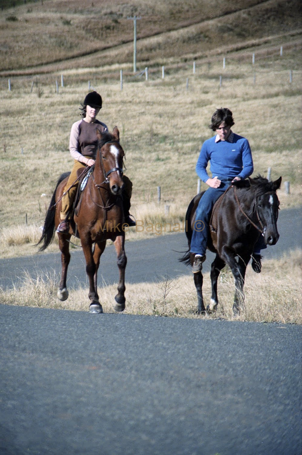 06_Horsley Park_Carol01 Carole Copeland Horses